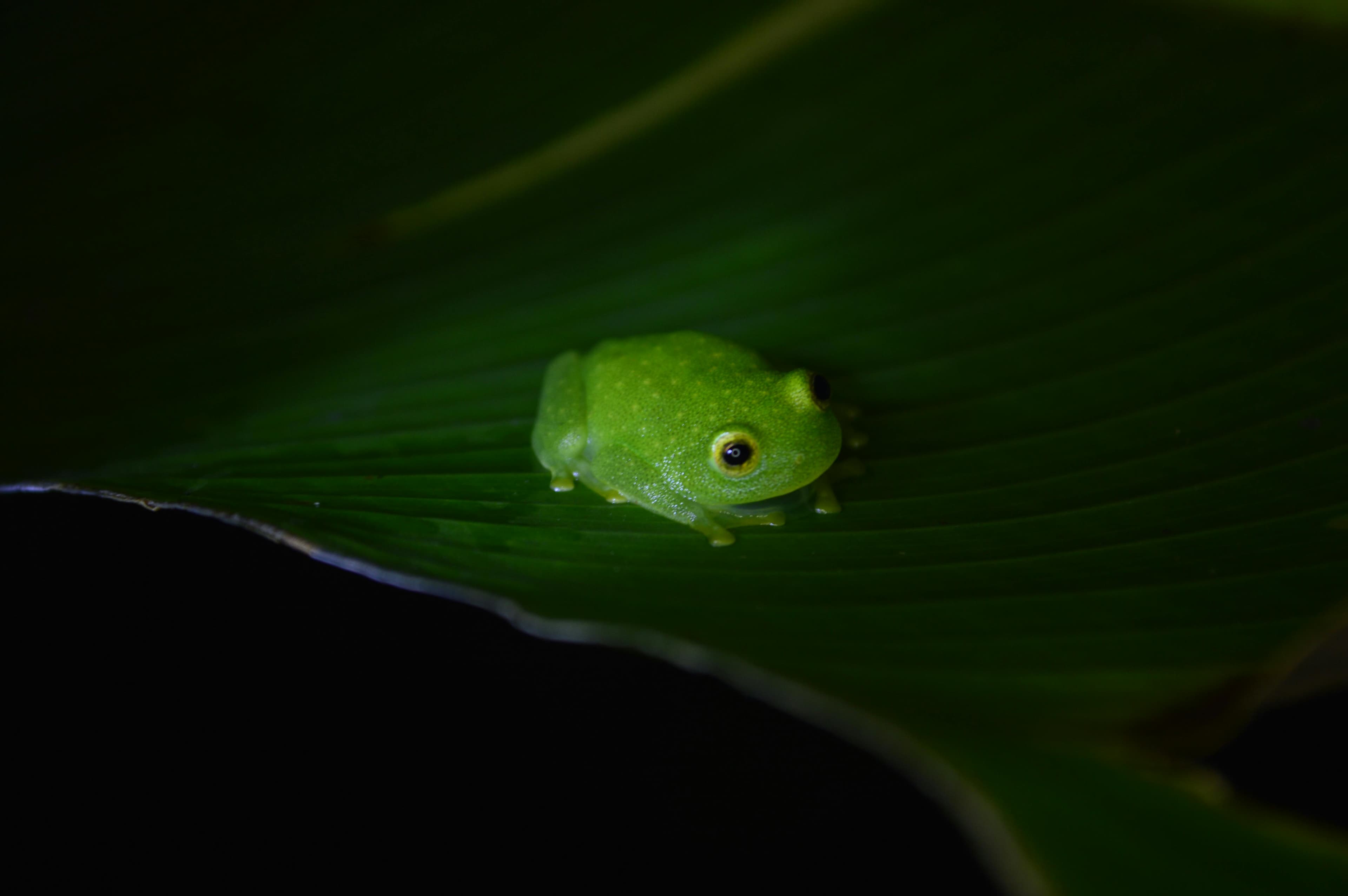 Image 0
